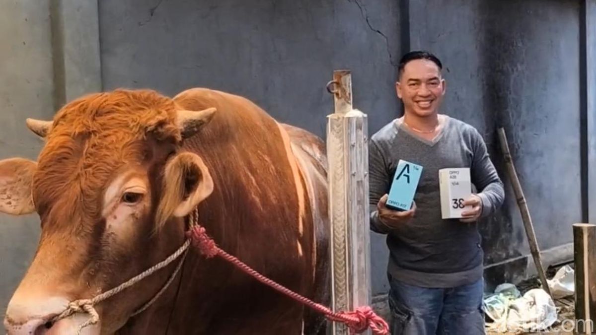 Unik! Beli Sapi Kurban di Pasuruan Dapat HP Gratis