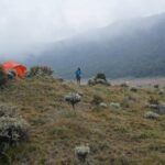 Ribuan Pendaki Ilegal Dievakuasi dari Gunung Gede Pangrango